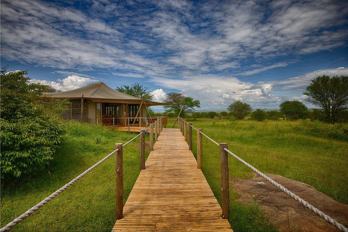 African safari in Tanzania