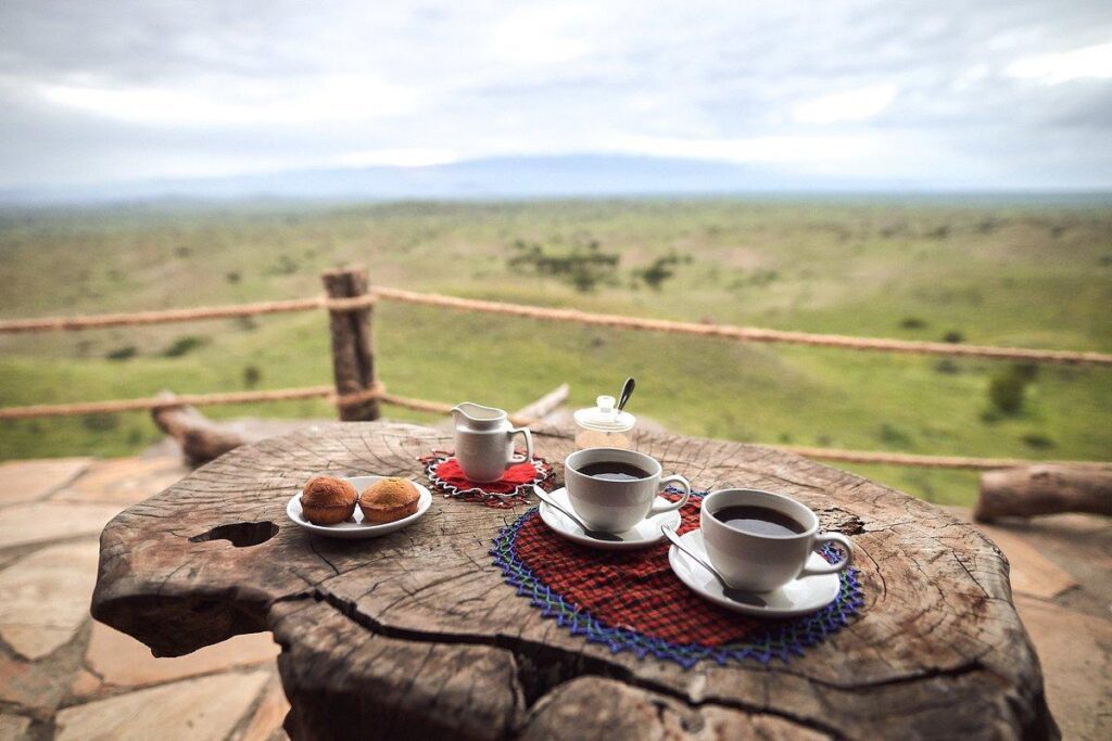 Best Serengeti Safari