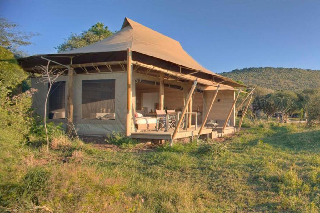 Kenya and Tanzania Safari