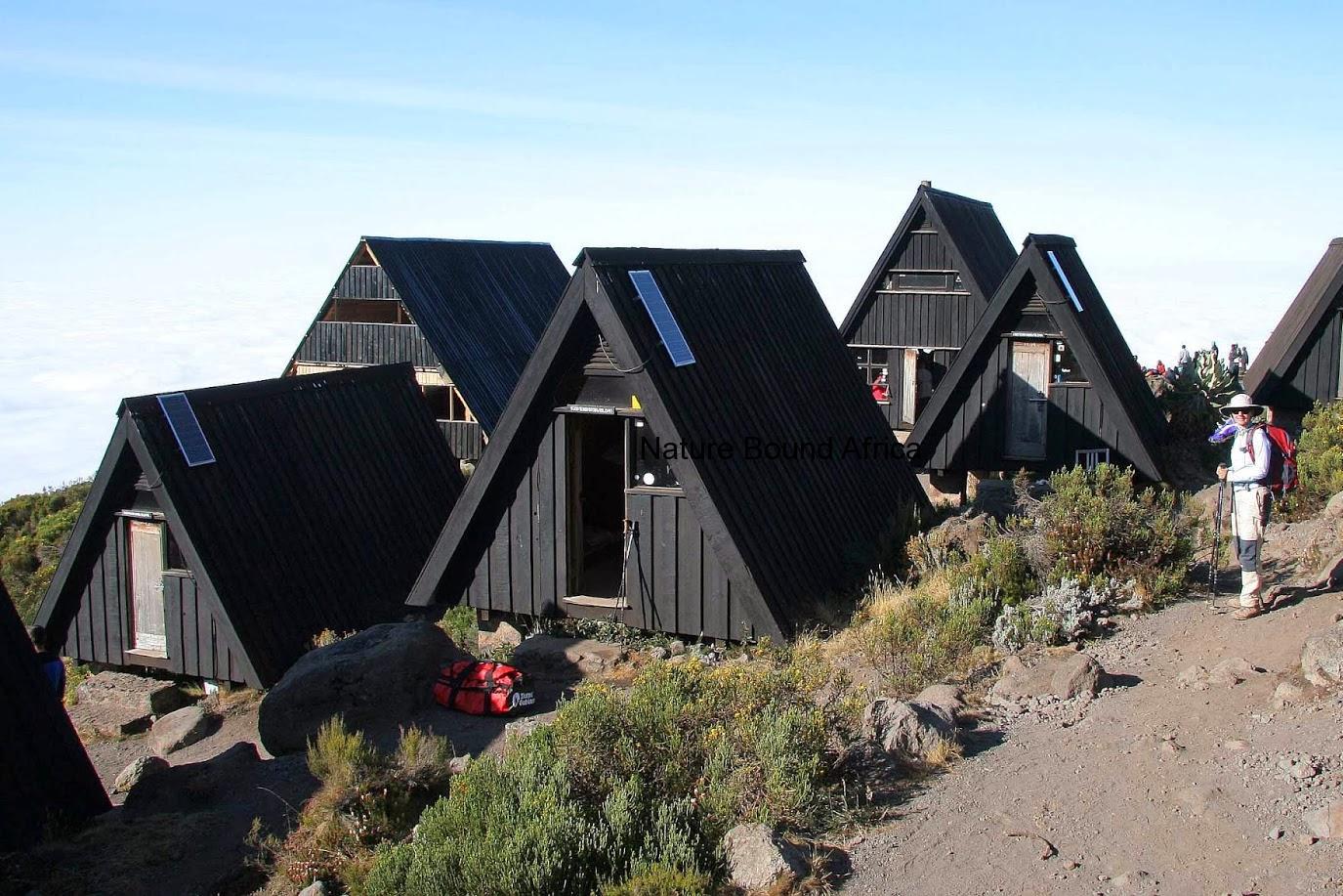 kilimanjaro hiking tour