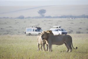 honeymoon in Tanzania