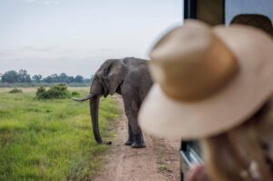 Kenya and Tanzania Safari