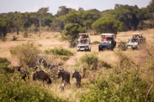 Kenya and Tanzania Safari