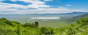 Safari and Zanzibar