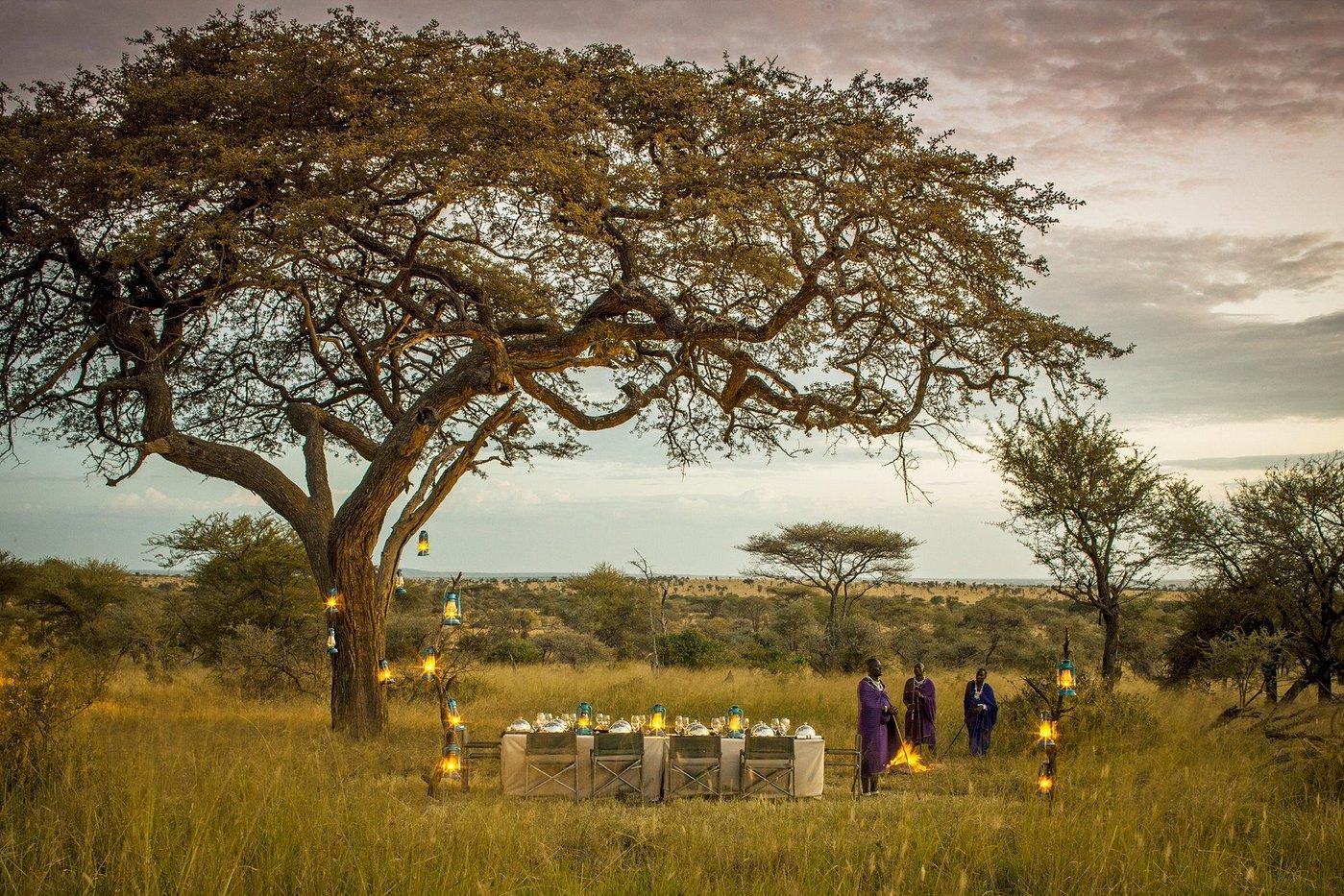 serengeti safari