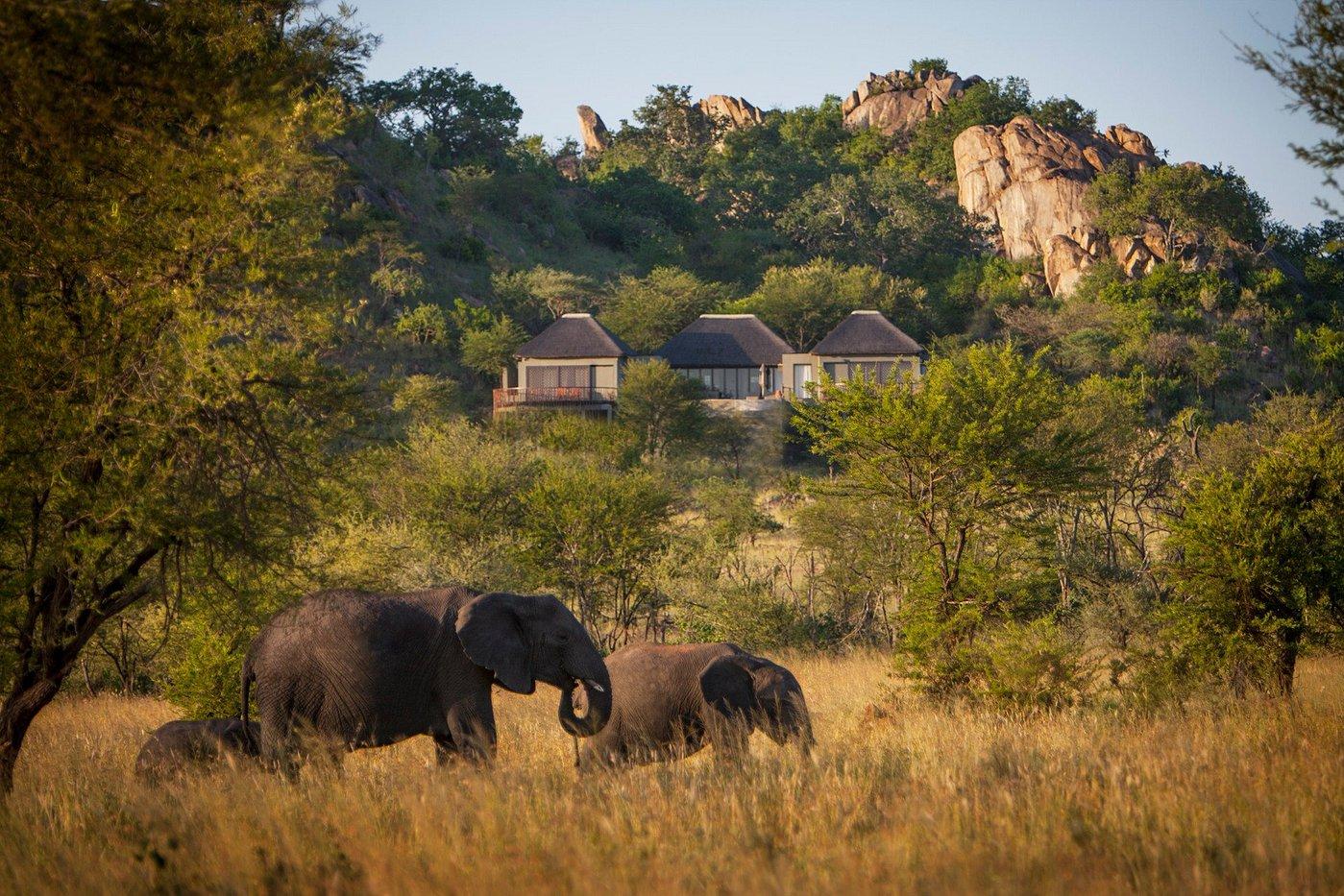 serengeti safari
