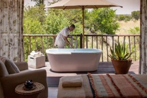 tanzania safari and zanzibar
