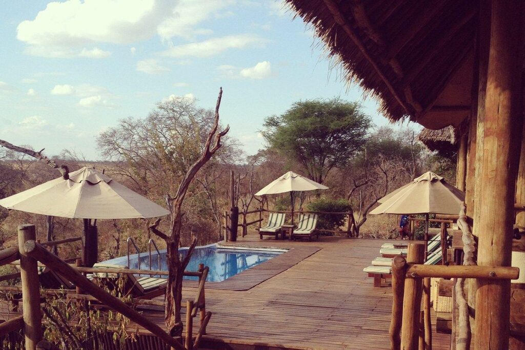 tanzania safari and zanzibar