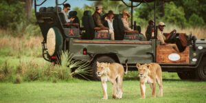 Big Five African Safaris