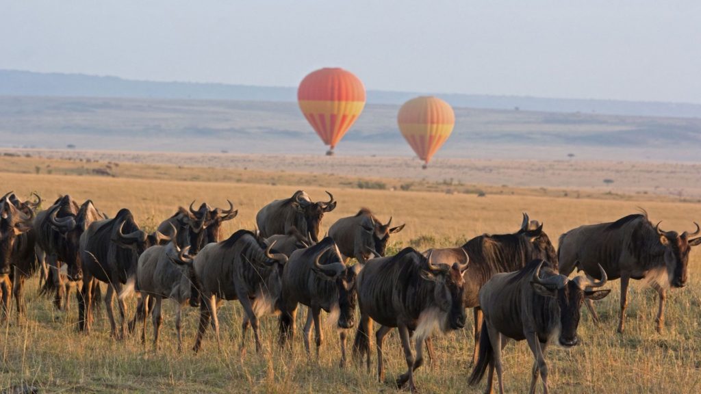 Kenya and Tanzania Safari