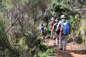 mount kilimanjaro tours