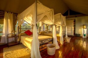 honeymoon in Tanzania