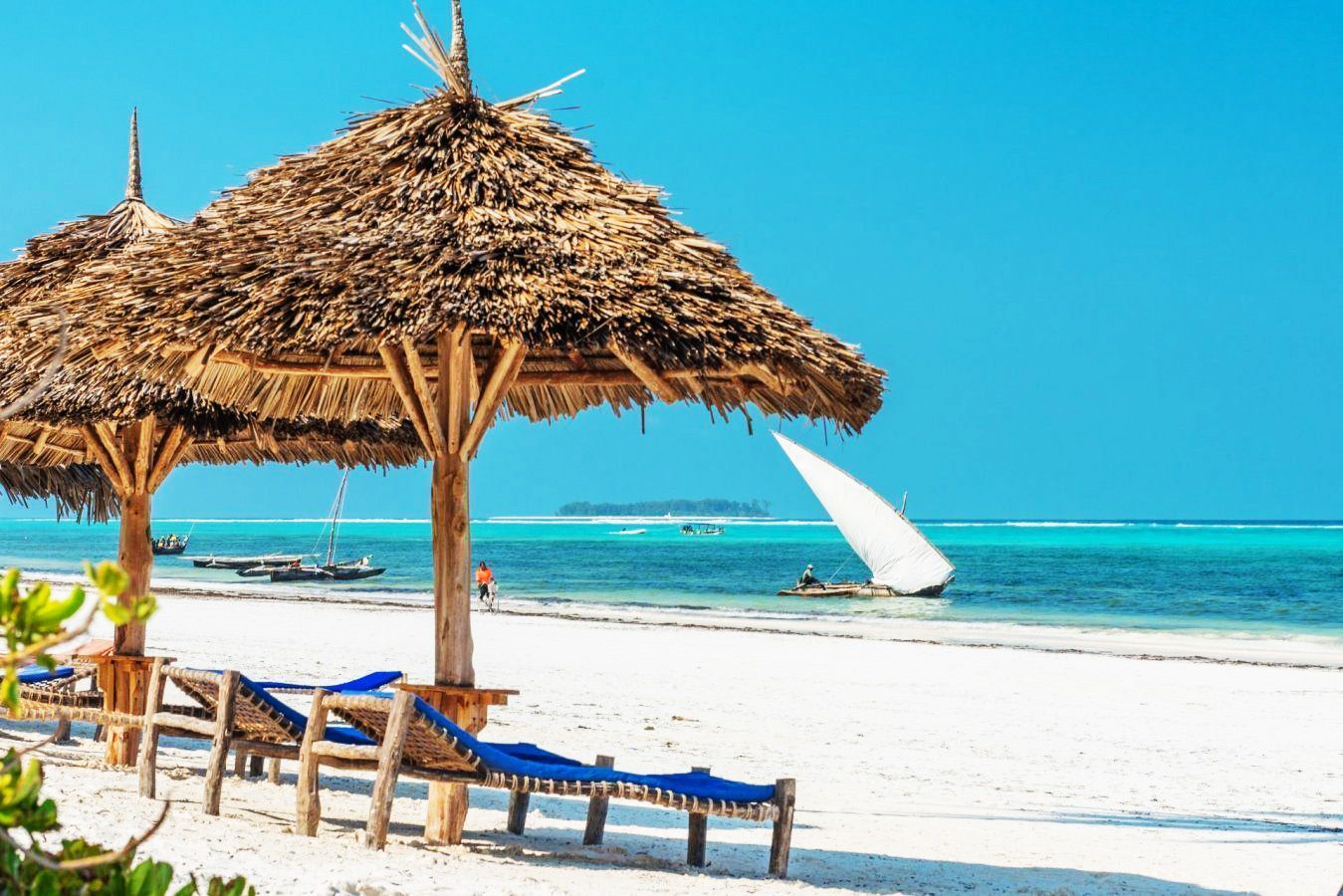 tanzania safari and zanzibar
