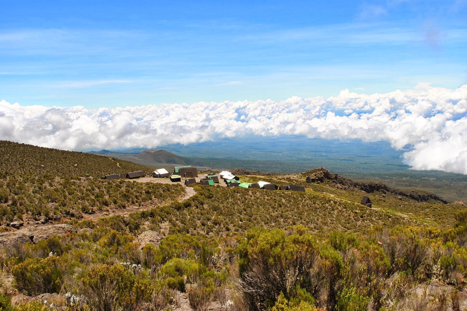 kilimanjaro hiking tour