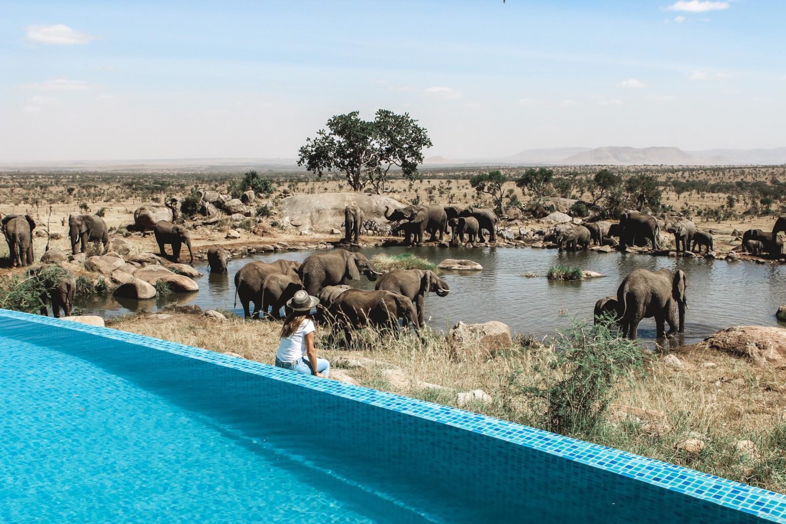 Best Serengeti Safari