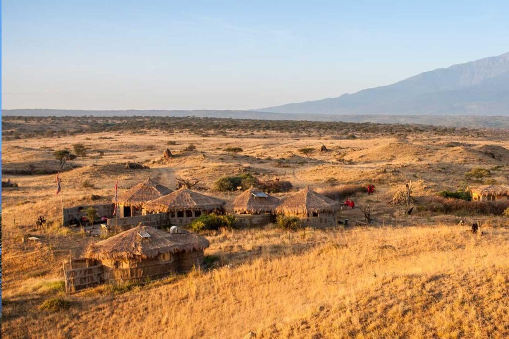 Best Serengeti Safari
