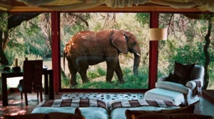 tanzania safari and zanzibar