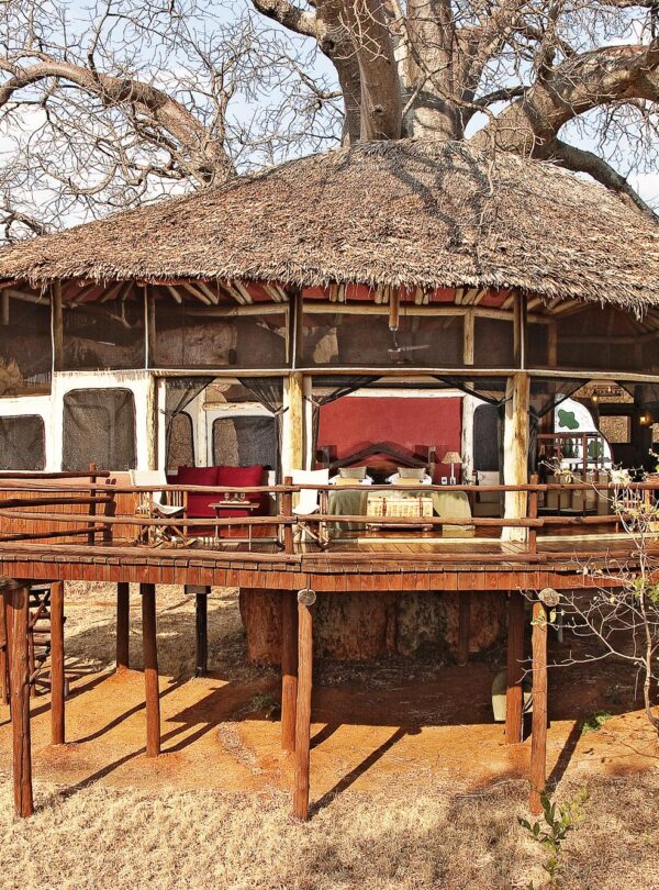 Tanzania safari and beach