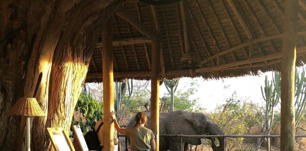 game drive Kenya and Tanzanqia