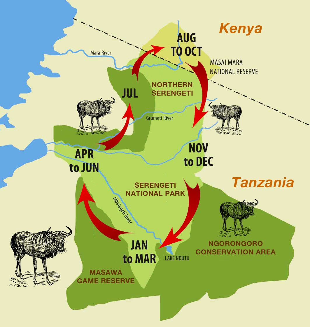 The Great Migration in Tanzania & Kenya