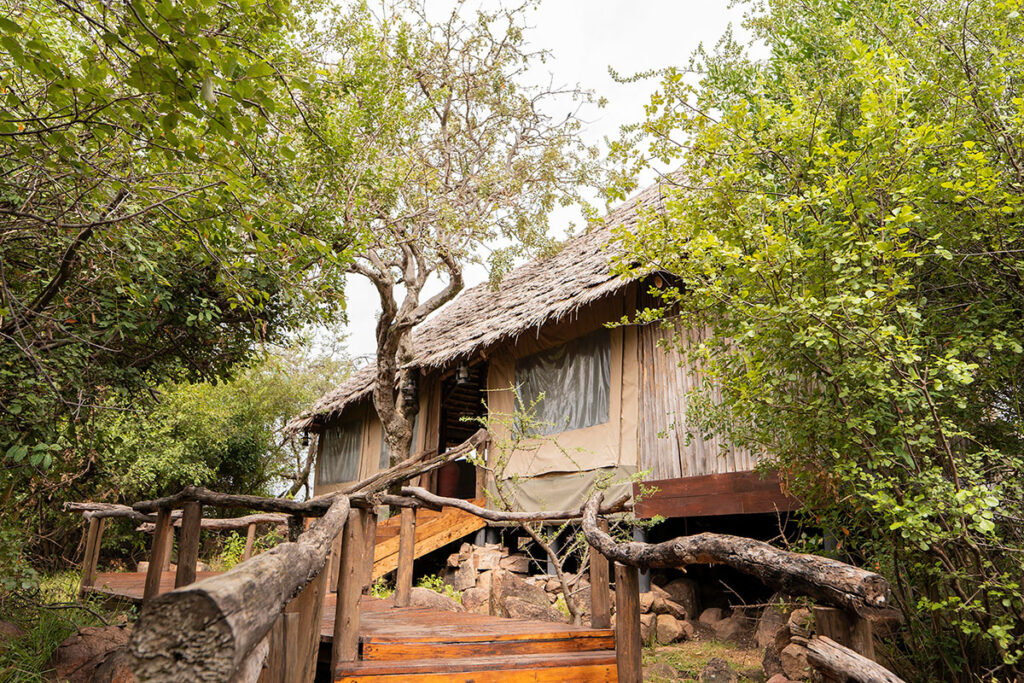 Kenya and Tanzania Honeymoon