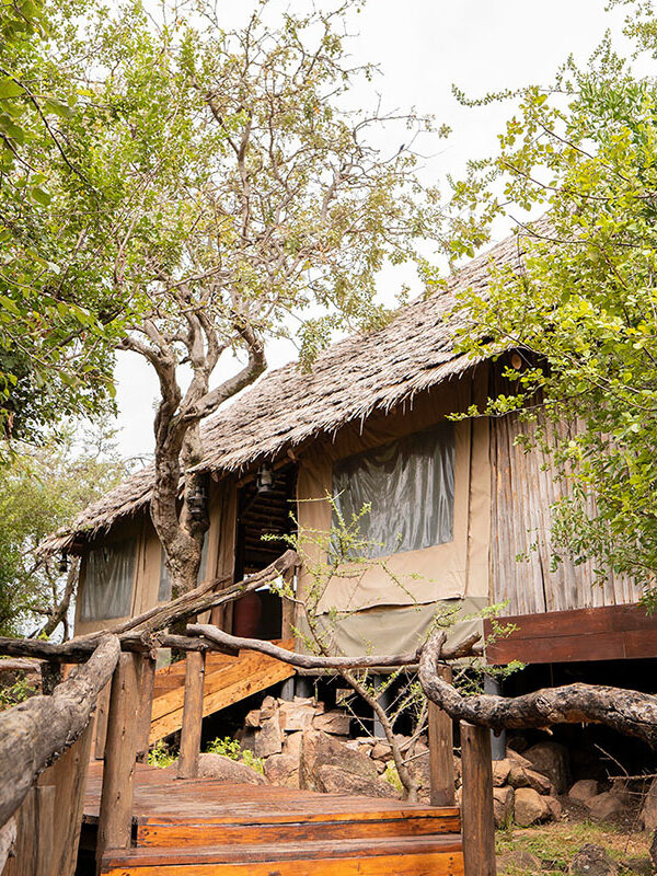 Kenya and Tanzania Honeymoon