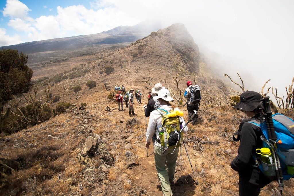 Rongai Route Climb Kilimanjaro