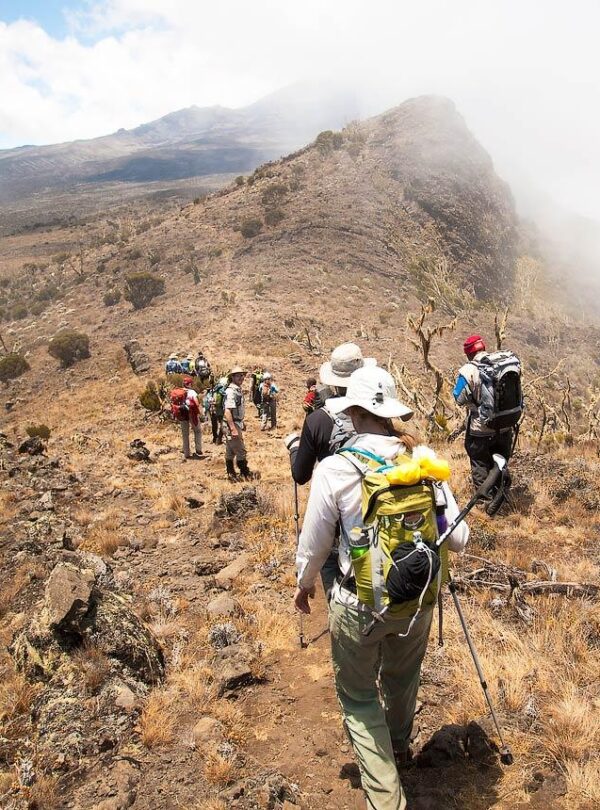 Rongai Route Climb Kilimanjaro