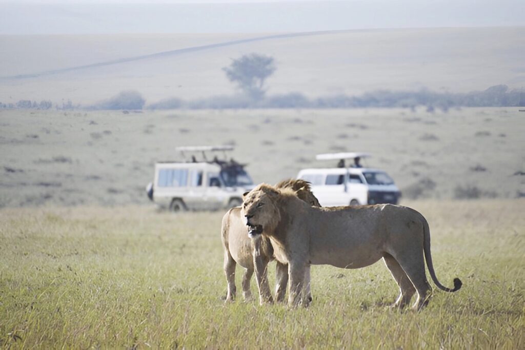 10-day Big Five Africa safari