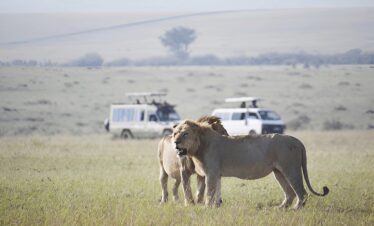 10-day Big Five Africa safari