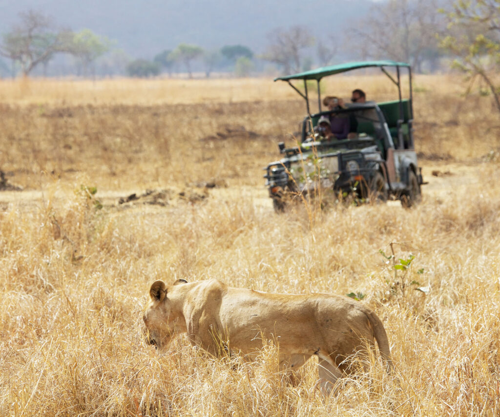 Big Five African Safaris