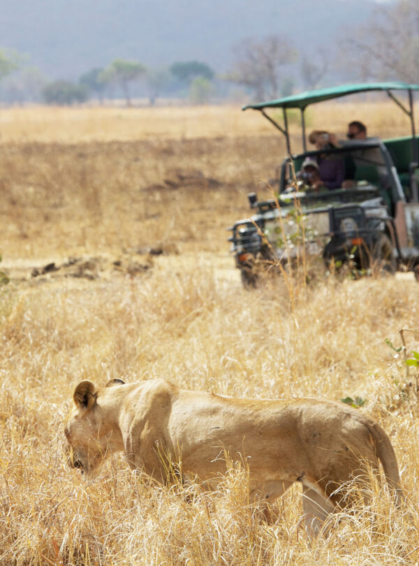 Big Five African Safaris