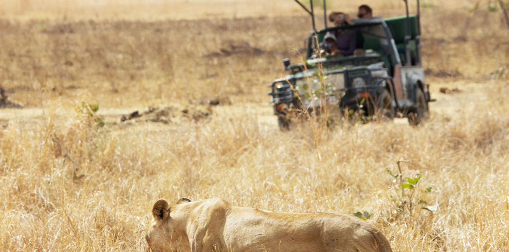 Big Five African Safaris