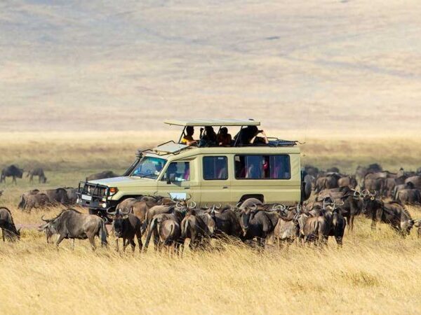 Tanzania Honeymoon Tour