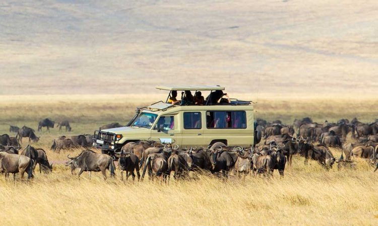 Tanzania Honeymoon Tour