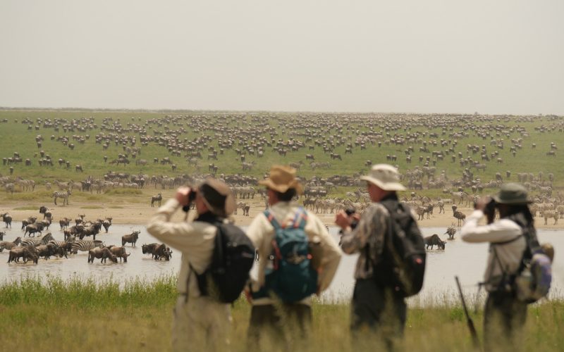 Walking Safari in Tanzania & Kenya